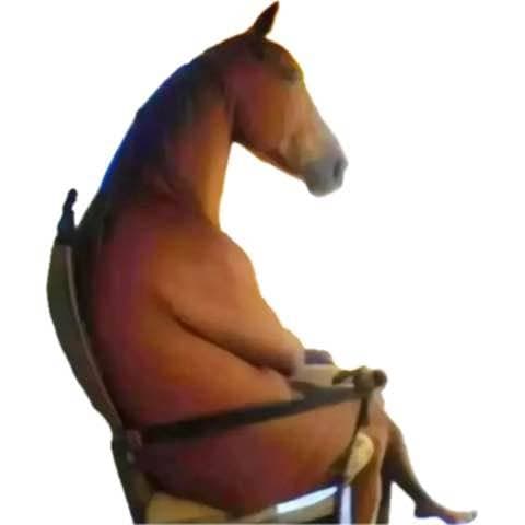 kmanistarr